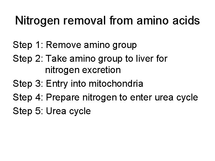 Nitrogen removal from amino acids Step 1: Remove amino group Step 2: Take amino