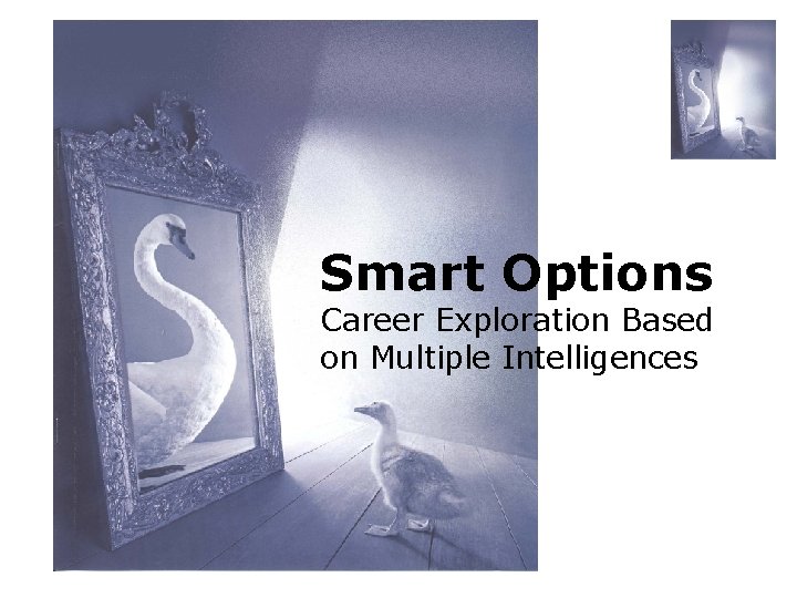 Smart Options Career Exploration Based on Multiple Intelligences 