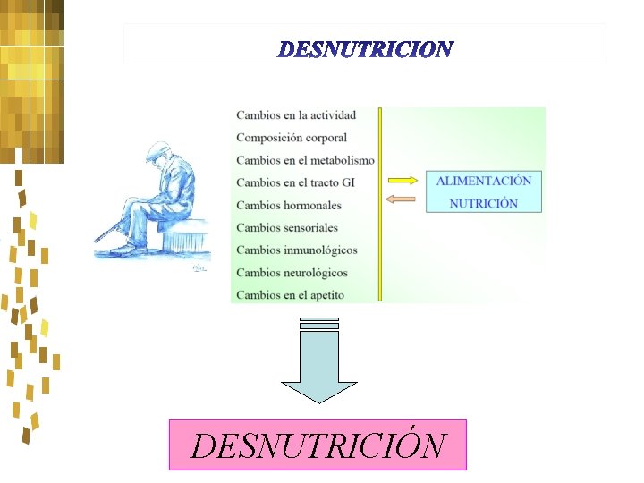 DESNUTRICIÓN 