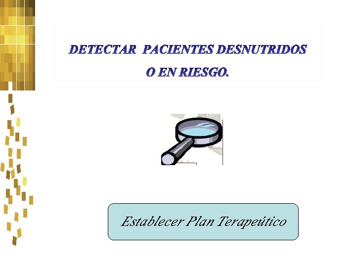 Establecer Plan Terapeútico 