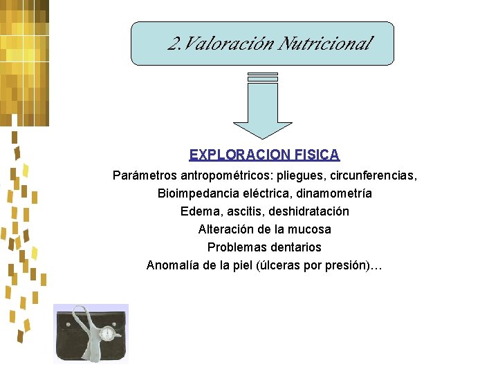 2. Valoración Nutricional EXPLORACION FISICA Parámetros antropométricos: pliegues, circunferencias, Bioimpedancia eléctrica, dinamometría Edema, ascitis,