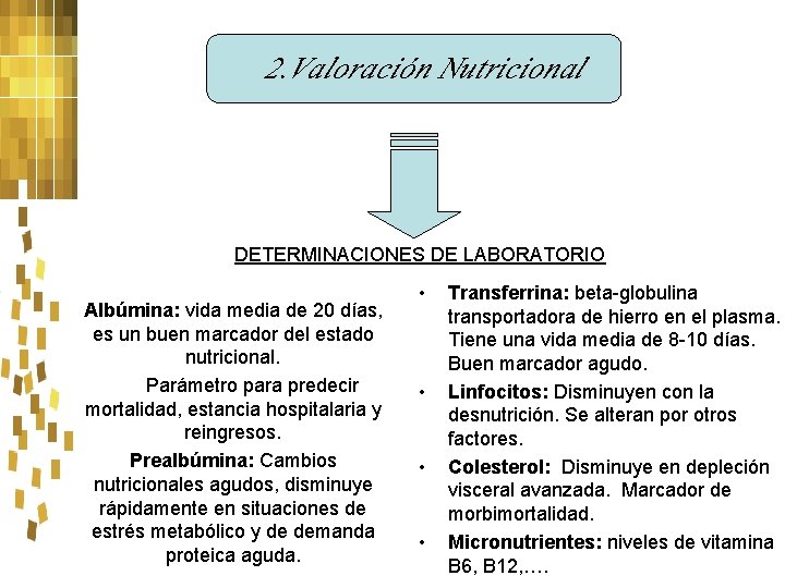 2. Valoración Nutricional DETERMINACIONES DE LABORATORIO Albúmina: vida media de 20 días, es un