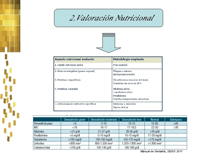 2. Valoración Nutricional Manual de Geriatria, SEGG 2011 