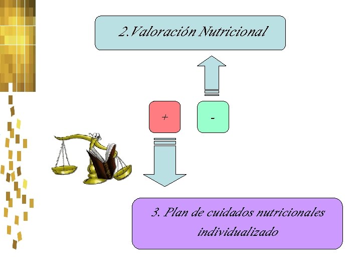 2. Valoración Nutricional + - 3. Plan de cuidados nutricionales individualizado 