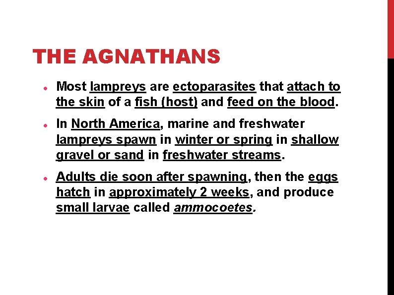 THE AGNATHANS Most lampreys are ectoparasites that attach to the skin of a fish