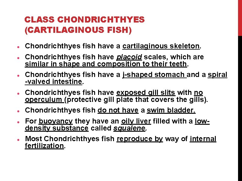 CLASS CHONDRICHTHYES (CARTILAGINOUS FISH) Chondrichthyes fish have a cartilaginous skeleton. Chondrichthyes fish have placoid