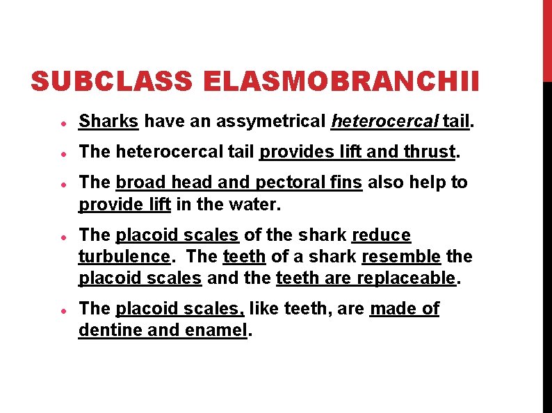 SUBCLASS ELASMOBRANCHII Sharks have an assymetrical heterocercal tail. The heterocercal tail provides lift and