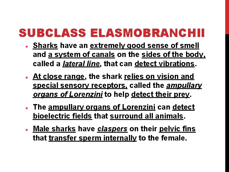 SUBCLASS ELASMOBRANCHII Sharks have an extremely good sense of smell and a system of