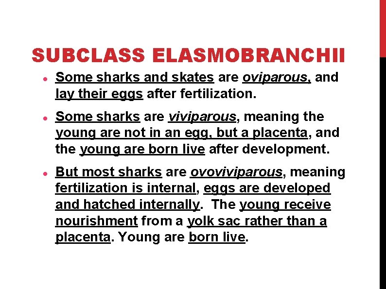 SUBCLASS ELASMOBRANCHII Some sharks and skates are oviparous, and lay their eggs after fertilization.