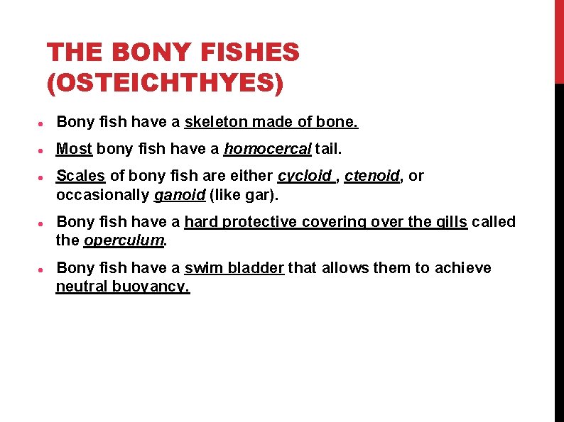 THE BONY FISHES (OSTEICHTHYES) Bony fish have a skeleton made of bone. Most bony