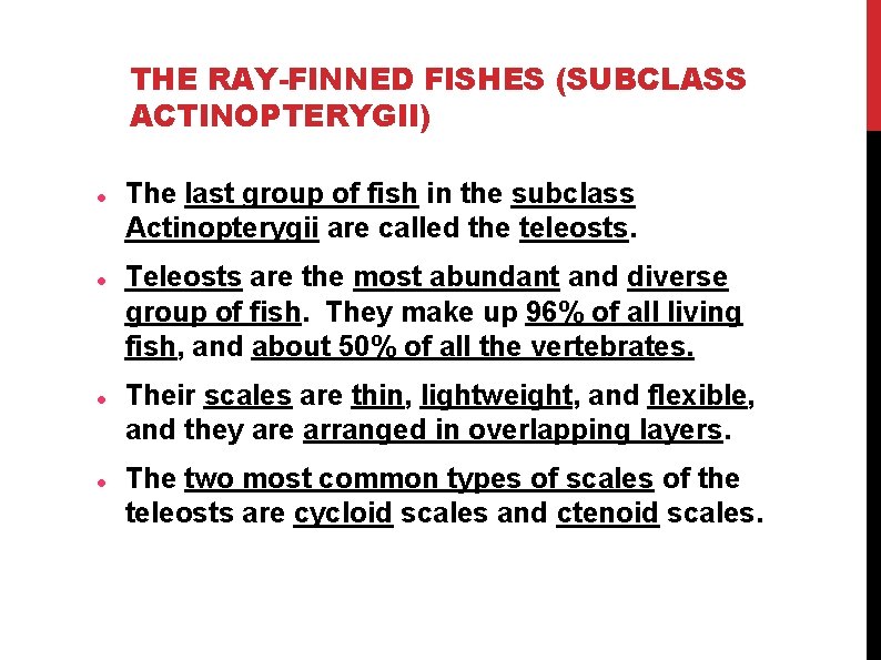 THE RAY-FINNED FISHES (SUBCLASS ACTINOPTERYGII) The last group of fish in the subclass Actinopterygii