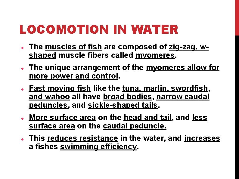 LOCOMOTION IN WATER The muscles of fish are composed of zig-zag, wshaped muscle fibers