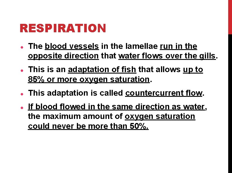 RESPIRATION The blood vessels in the lamellae run in the opposite direction that water