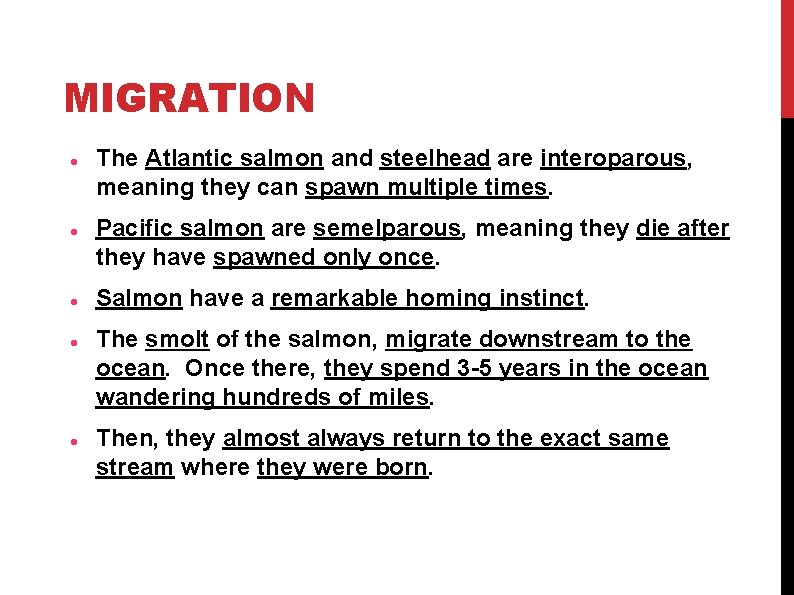 MIGRATION The Atlantic salmon and steelhead are interoparous, meaning they can spawn multiple times.