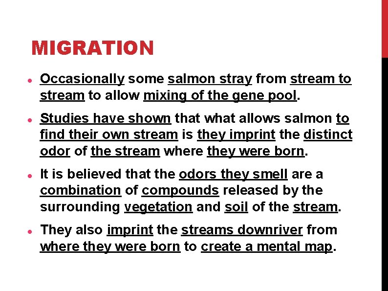 MIGRATION Occasionally some salmon stray from stream to allow mixing of the gene pool.