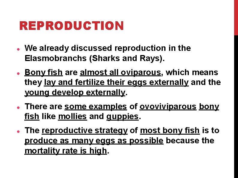 REPRODUCTION We already discussed reproduction in the Elasmobranchs (Sharks and Rays). Bony fish are