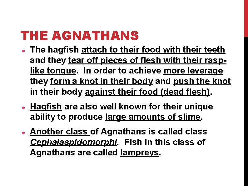 THE AGNATHANS The hagfish attach to their food with their teeth and they tear