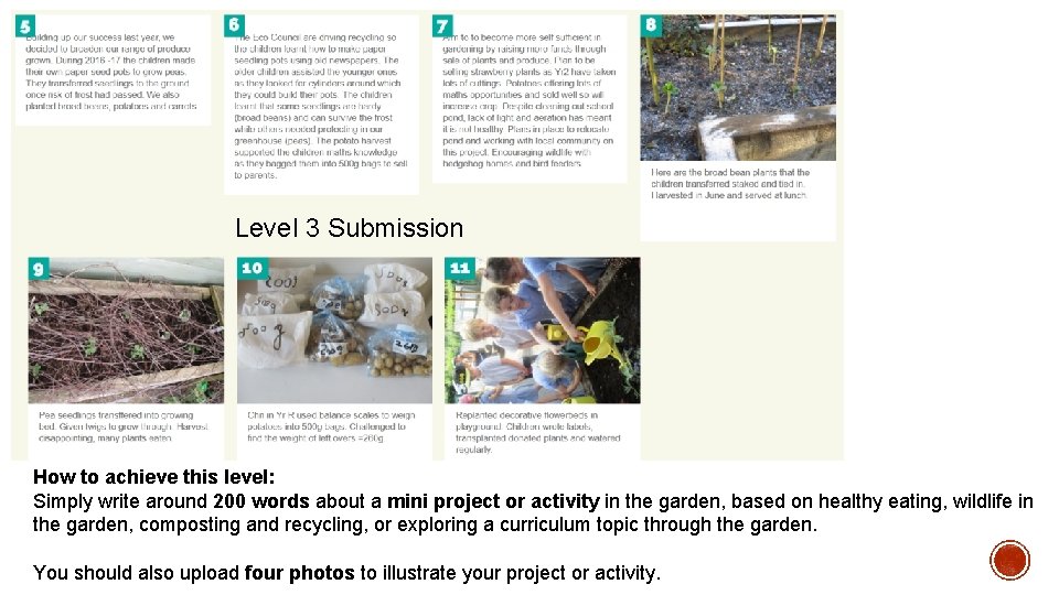 Level 3 Submission How to achieve this level: Simply write around 200 words about Level 3 Submission How to achieve this level: Simply write around 200 words about