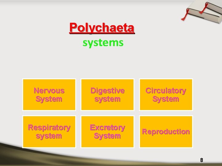 Polychaeta systems Nervous System Digestive system Circulatory System Respiratory system Excretory System Reproduction 8