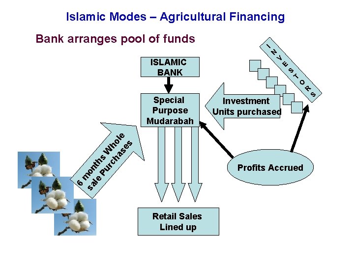 Islamic Modes – Agricultural Financing Bank arranges pool of funds ISLAMIC BANK m sa