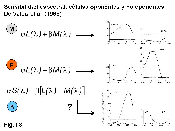 Sensibilidad espectral: células oponentes y no oponentes. De Valois et al. (1966) M P Sensibilidad espectral: células oponentes y no oponentes. De Valois et al. (1966) M P