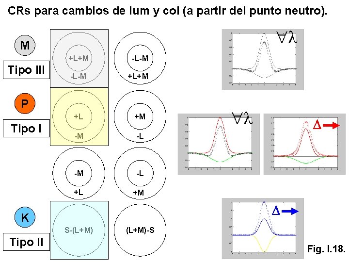 CRs para cambios de lum y col (a partir del punto neutro). M Tipo CRs para cambios de lum y col (a partir del punto neutro). M Tipo