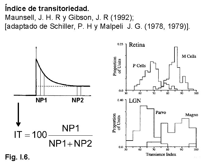 Índice de transitoriedad. Maunsell, J. H. R y Gibson, J. R (1992); [adaptado de Índice de transitoriedad. Maunsell, J. H. R y Gibson, J. R (1992); [adaptado de