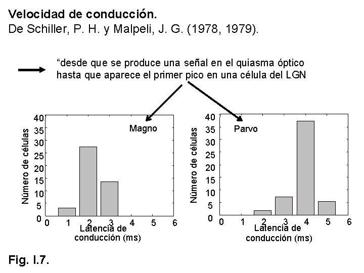 Velocidad de conducción. De Schiller, P. H. y Malpeli, J. G. (1978, 1979). 40 Velocidad de conducción. De Schiller, P. H. y Malpeli, J. G. (1978, 1979). 40