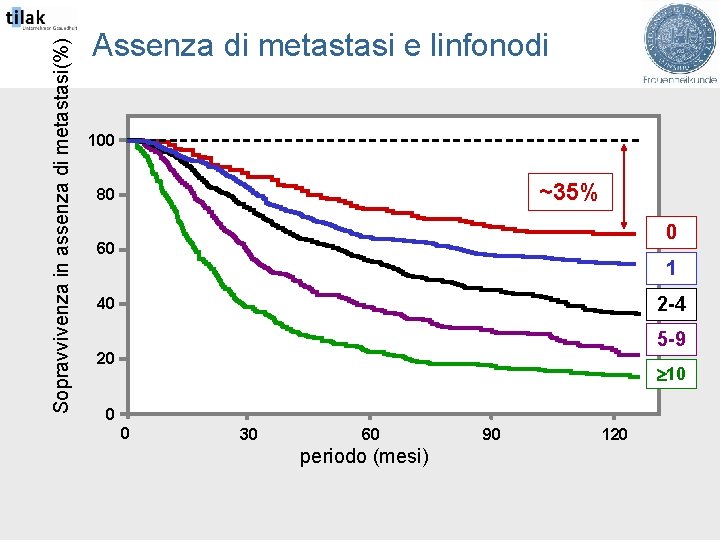 Sopravvivenza in assenza di metastasi(%) Assenza di metastasi e linfonodi 100 ~35% 80 0