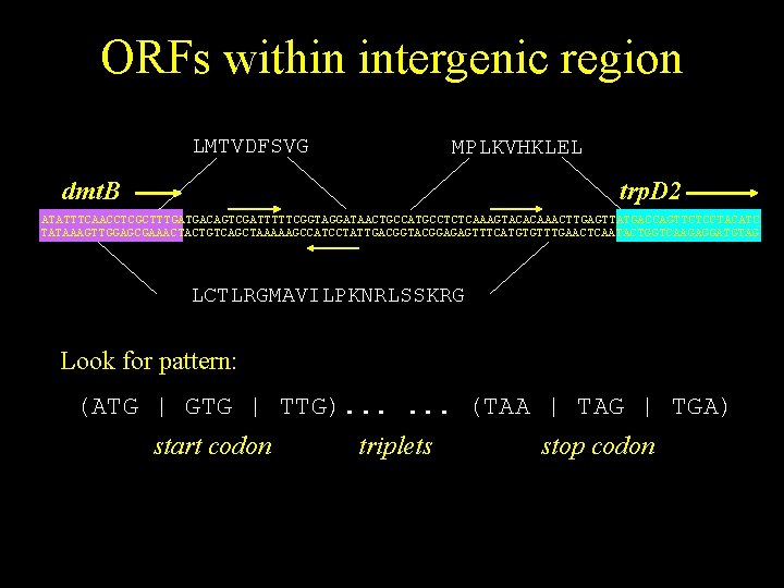 ORFs within intergenic region LMTVDFSVG MPLKVHKLEL dmt. B trp. D 2 ATATTTCAACCTCGCTTTGATGACAGTCGATTTTTCGGTAGGATAACTGCCATGCCTCTCAAAGTACACAAACTTGAGTTATGACCAGTTCTCCTACATC TATAAAGTTGGAGCGAAACTACTGTCAGCTAAAAAGCCATCCTATTGACGGTACGGAGAGTTTCATGTGTTTGAACTCAATACTGGTCAAGAGGATGTAG LCTLRGMAVILPKNRLSSKRG