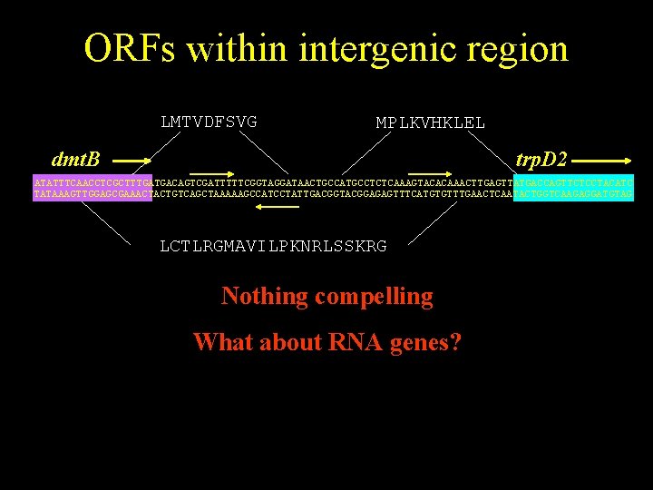 ORFs within intergenic region LMTVDFSVG MPLKVHKLEL dmt. B trp. D 2 ATATTTCAACCTCGCTTTGATGACAGTCGATTTTTCGGTAGGATAACTGCCATGCCTCTCAAAGTACACAAACTTGAGTTATGACCAGTTCTCCTACATC TATAAAGTTGGAGCGAAACTACTGTCAGCTAAAAAGCCATCCTATTGACGGTACGGAGAGTTTCATGTGTTTGAACTCAATACTGGTCAAGAGGATGTAG LCTLRGMAVILPKNRLSSKRG