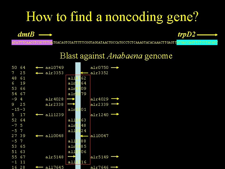 How to find a noncoding gene? dmt. B trp. D 2 ATATTTCAACCTCGCTTTGATGACAGTCGATTTTTCGGTAGGATAACTGCCATGCCTCTCAAAGTACACAAACTTGAGTTATGACCAGTTCTCCTACATC Blast against