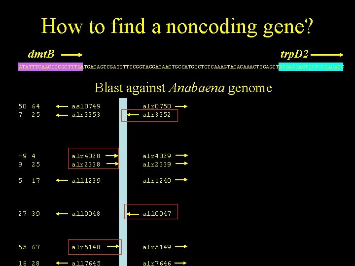 How to find a noncoding gene? dmt. B trp. D 2 ATATTTCAACCTCGCTTTGATGACAGTCGATTTTTCGGTAGGATAACTGCCATGCCTCTCAAAGTACACAAACTTGAGTTATGACCAGTTCTCCTACATC Blast against