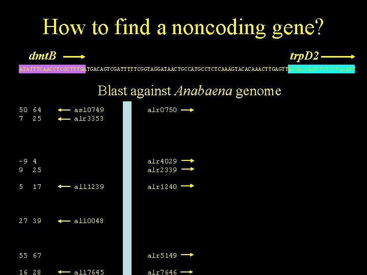 How to find a noncoding gene? dmt. B trp. D 2 ATATTTCAACCTCGCTTTGATGACAGTCGATTTTTCGGTAGGATAACTGCCATGCCTCTCAAAGTACACAAACTTGAGTTATGACCAGTTCTCCTACATC Blast against