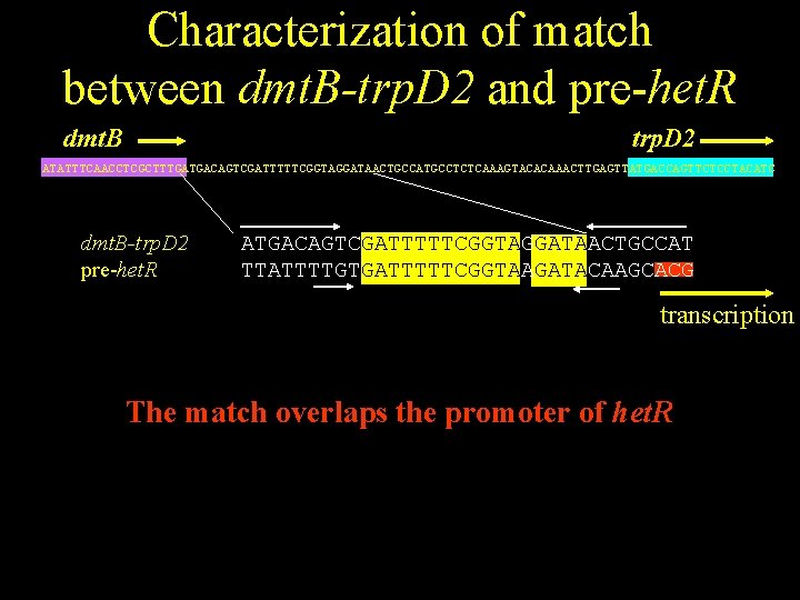 Characterization of match between dmt. B-trp. D 2 and pre-het. R dmt. B trp.