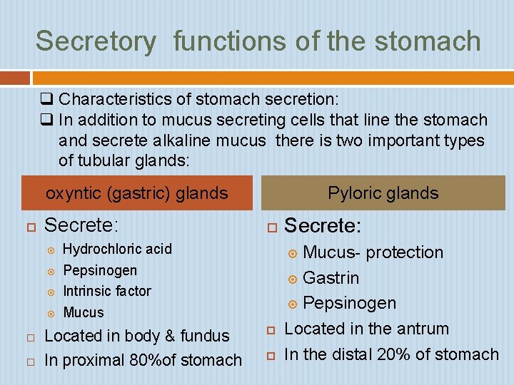 Secretory functions of the stomach q Characteristics of stomach secretion: q In addition to