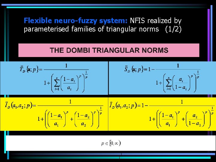 Flexible neuro-fuzzy system: NFIS realized by parameterised families of triangular norms (1/2) 