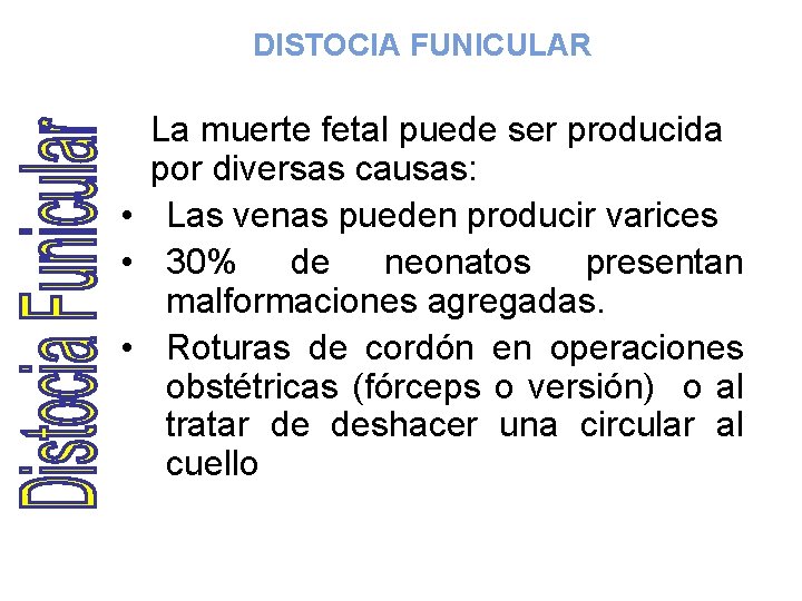 DISTOCIA FUNICULAR La muerte fetal puede ser producida por diversas causas: • Las venas