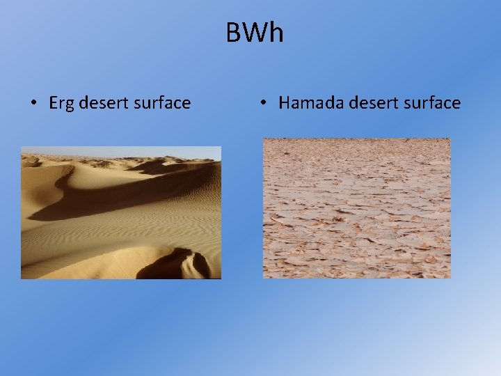 BWh • Erg desert surface • Hamada desert surface 