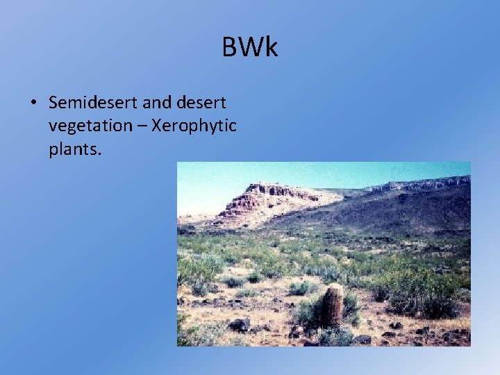 BWk • Semidesert and desert vegetation – Xerophytic plants. 