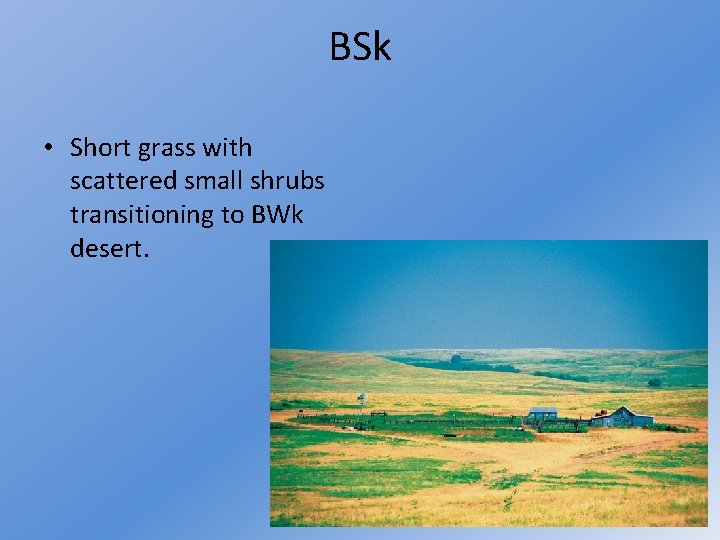 BSk • Short grass with scattered small shrubs transitioning to BWk desert. 