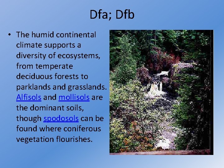 Dfa; Dfb • The humid continental climate supports a diversity of ecosystems, from temperate