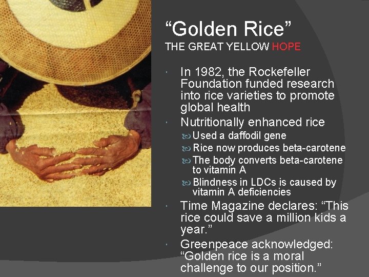 “Golden Rice” THE GREAT YELLOW HOPE In 1982, the Rockefeller Foundation funded research into