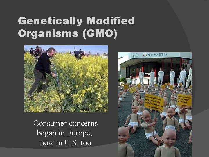 Genetically Modified Organisms (GMO) Consumer concerns began in Europe, now in U. S. too