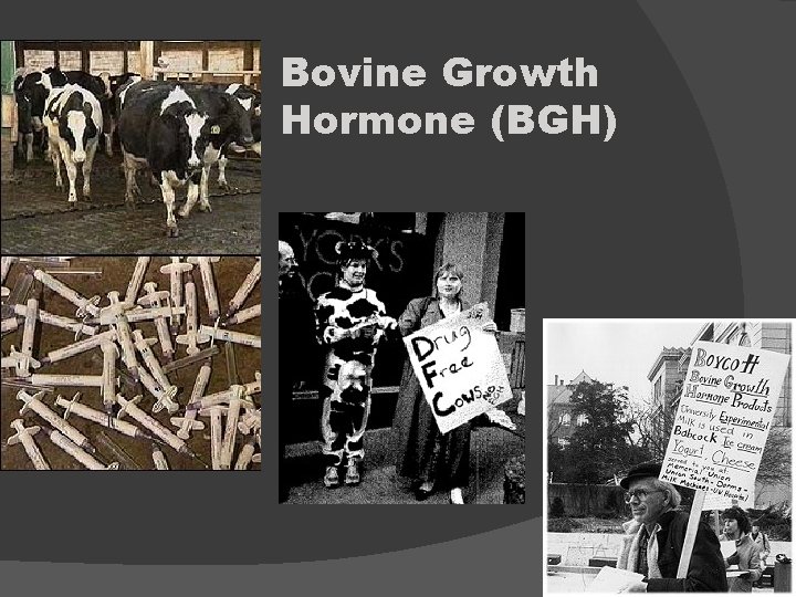 Bovine Growth Hormone (BGH) 