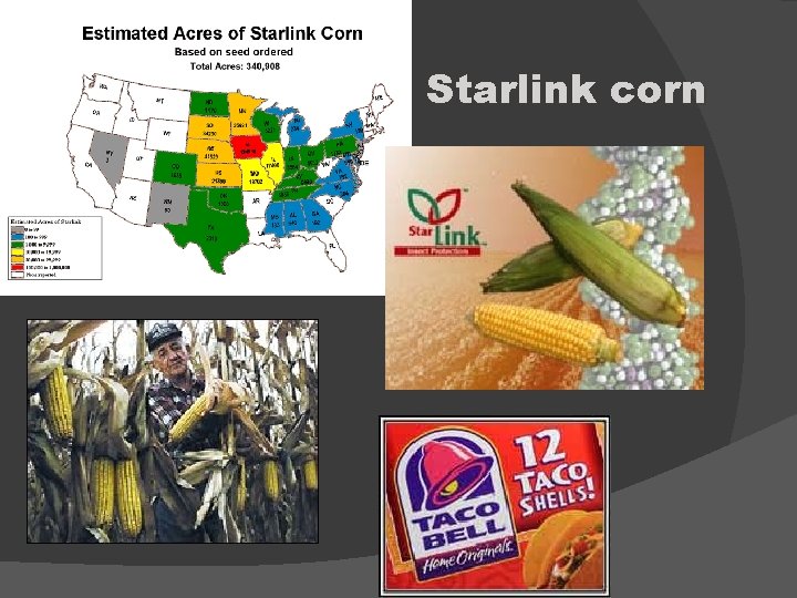 Starlink corn 