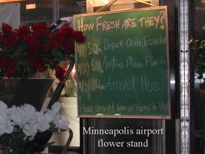 Minneapolis airport flower stand 