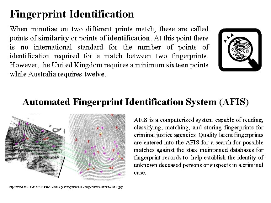 Fingerprint Identification When minutiae on two different prints match, these are called points of