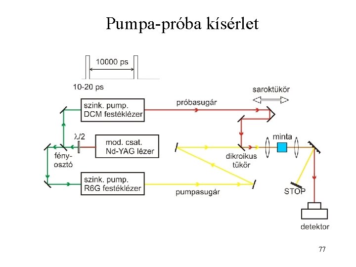 Pumpa-próba kísérlet 77 