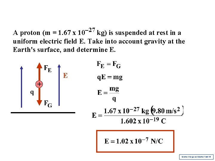 A proton (m = 1. 67 x 10 -27 kg) is suspended at rest A proton (m = 1. 67 x 10 -27 kg) is suspended at rest